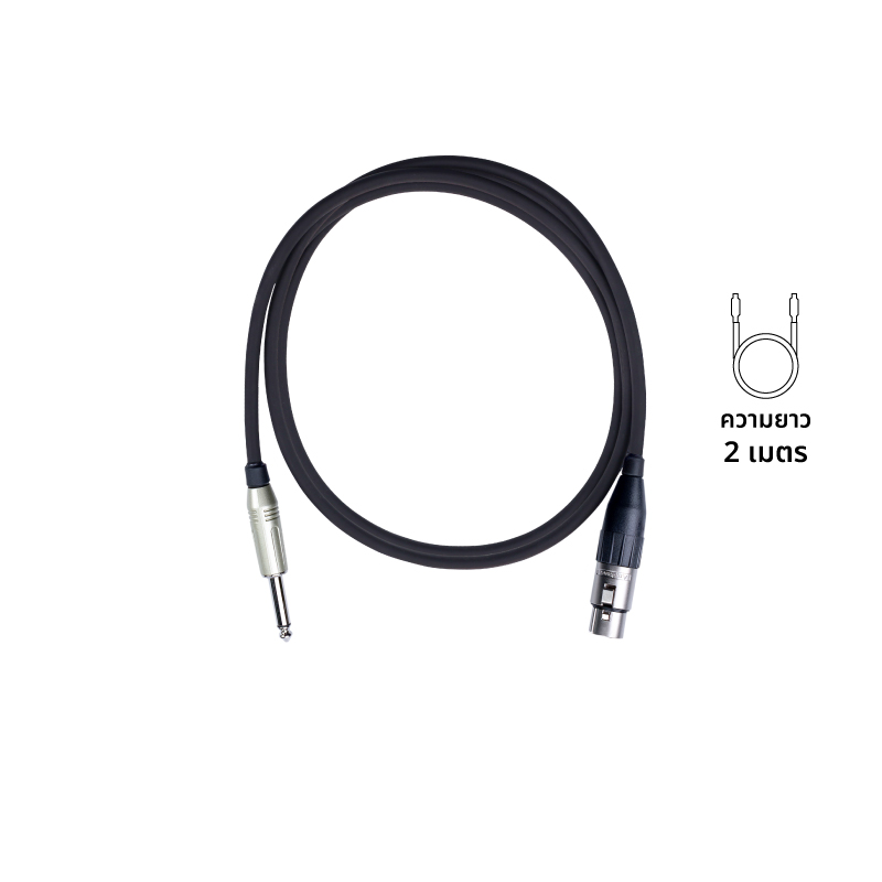 AMPHENOL CA01-33-C-002 สาย XLR(Female) to Phone TS 6.3 mm. สายสัญญาณ ความยาว 2 เมตร