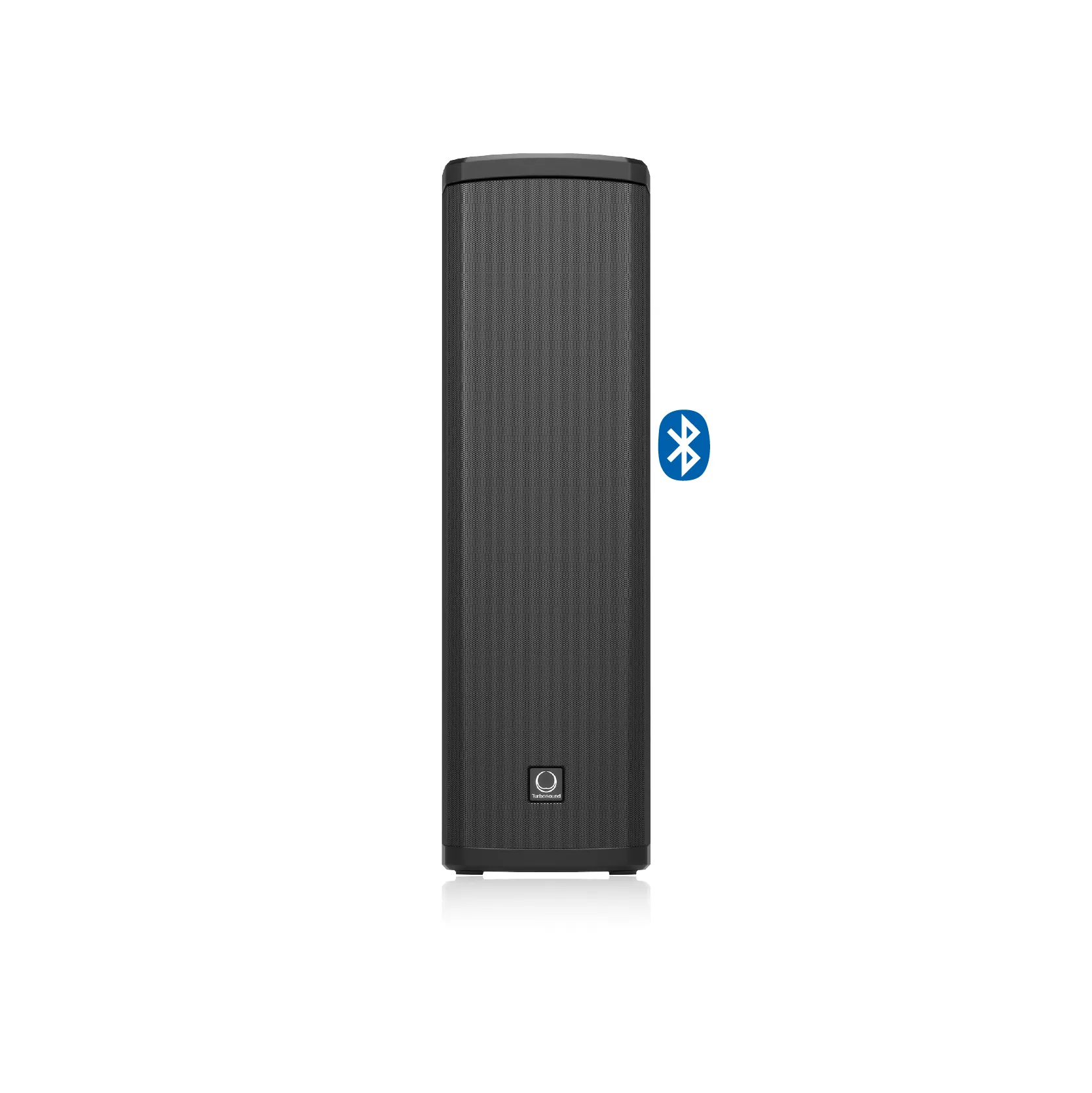 TURBOSOUND iP300