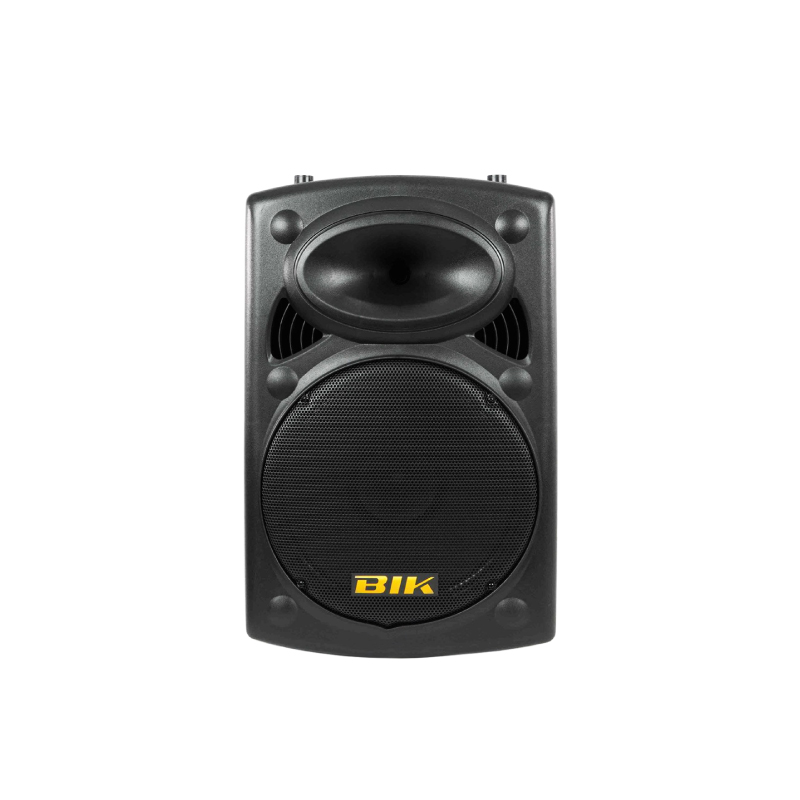 BIK-USK-12V