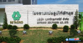 ผลงานการติดตั้ง ระบบเสียงและภาพ ห้องประชุมสัมมนา บริษัท เบทาโกร จำกัด สาขาพัทลุง รับบริการออกแบบ และติดตั้ง ระบบเสียง และระบบภาพ ด้วยทีมงานมืออาชีพ