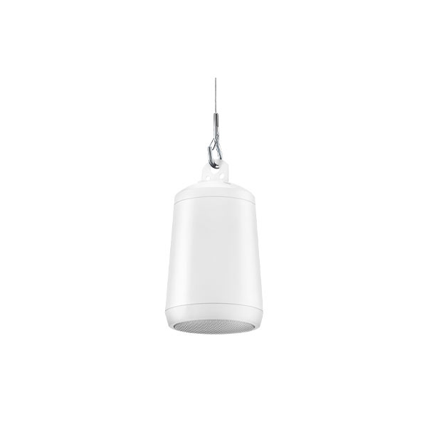 EV EVID-P2.1