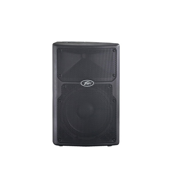 PEAVEY PVX 10