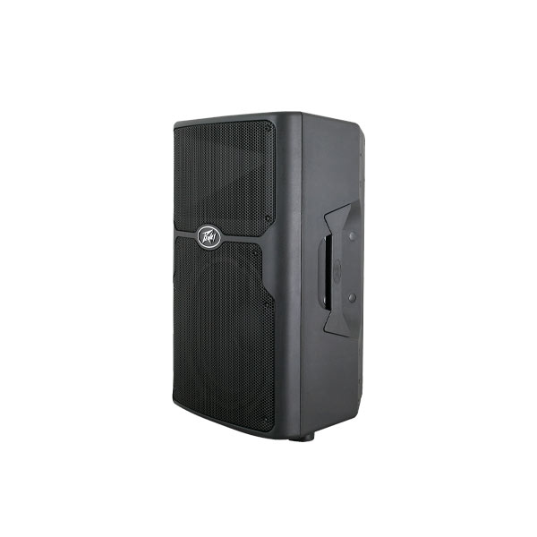PEAVEY PVX 15