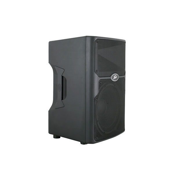 PEAVEY PVX 12