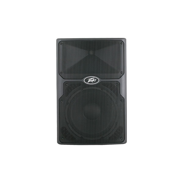 PEAVEY PVX 15