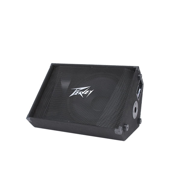 PEAVEY PV 15M