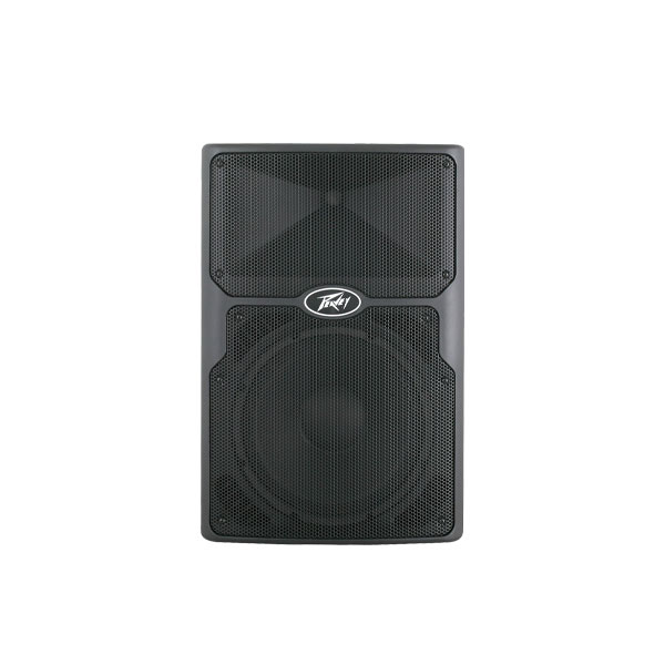 PEAVEY PVX 12