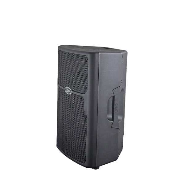 PEAVEY PVX 10