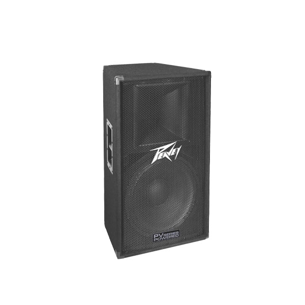 PEAVEY PV 115D