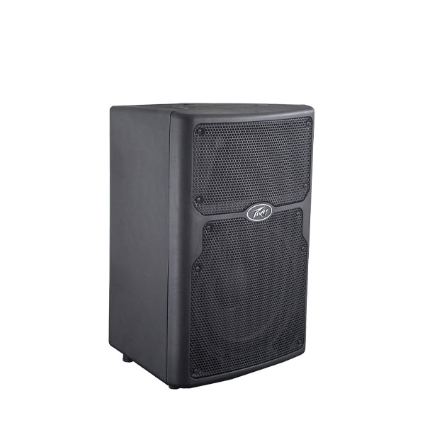 PEAVEY PVX 10