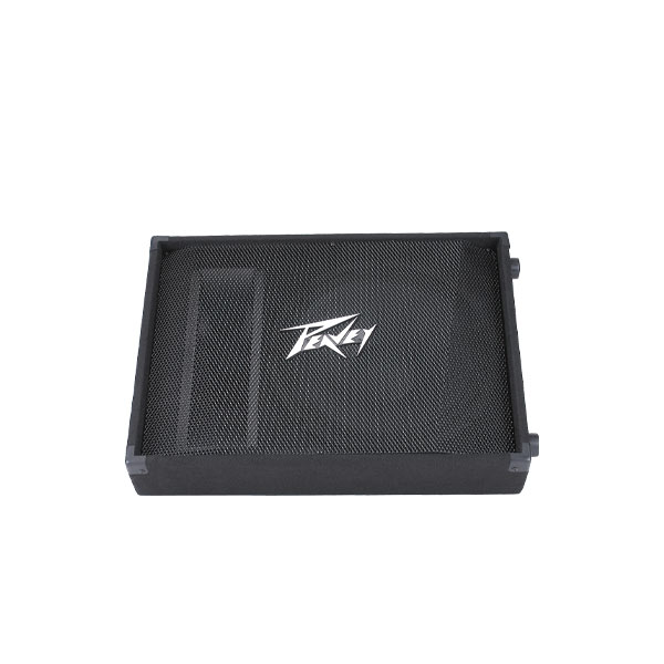 PEAVEY PV 15M