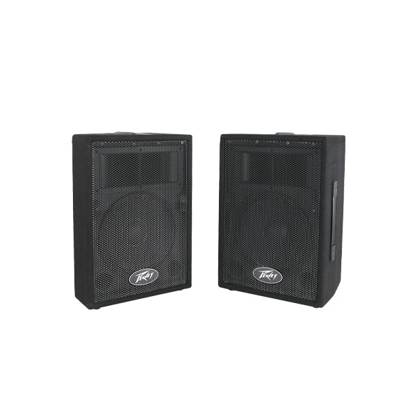 PEAVEY PVI 10