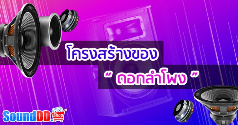 โครงสร้างของดอกลำโพง ที่ควรรู้ (ส่วนประกอบของดอกลำโพง)
