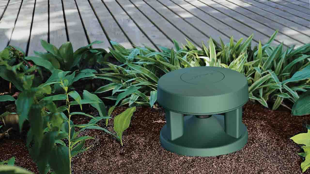 BOSE FREE SPACE 51
