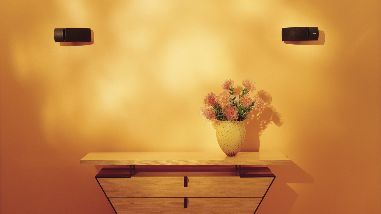 BOSE 161