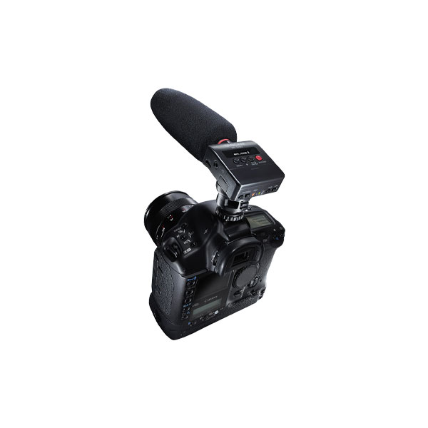 TASCAM DR-10SG