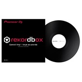PIONEER-INTERFACE-2-DVS