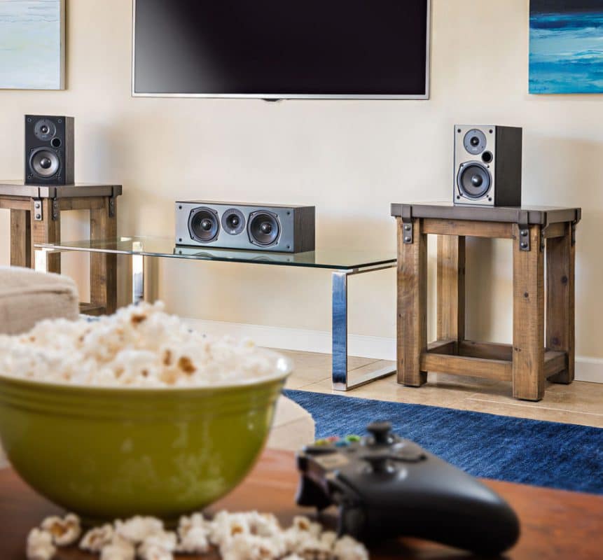 POLK AUDIO T30