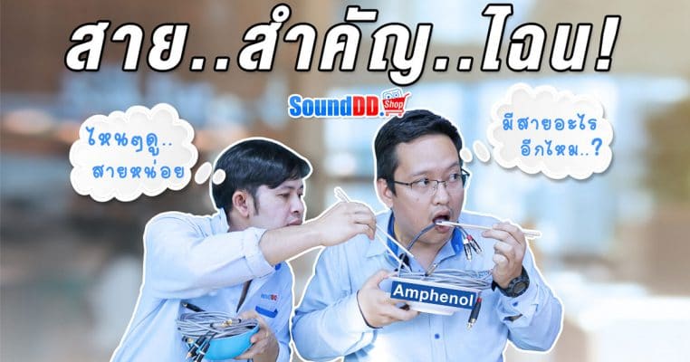 วิธีเลือก สายสัญญาณ ปลั๊กแจ็ค