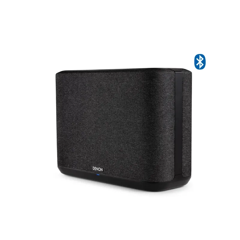 DENON HOME 250