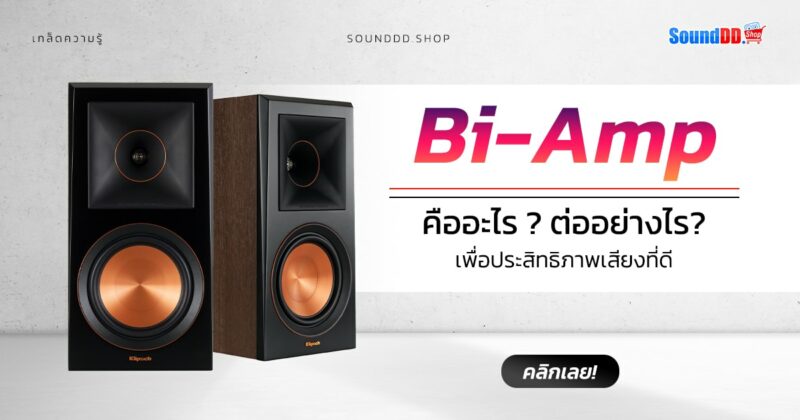 bi amp Banner