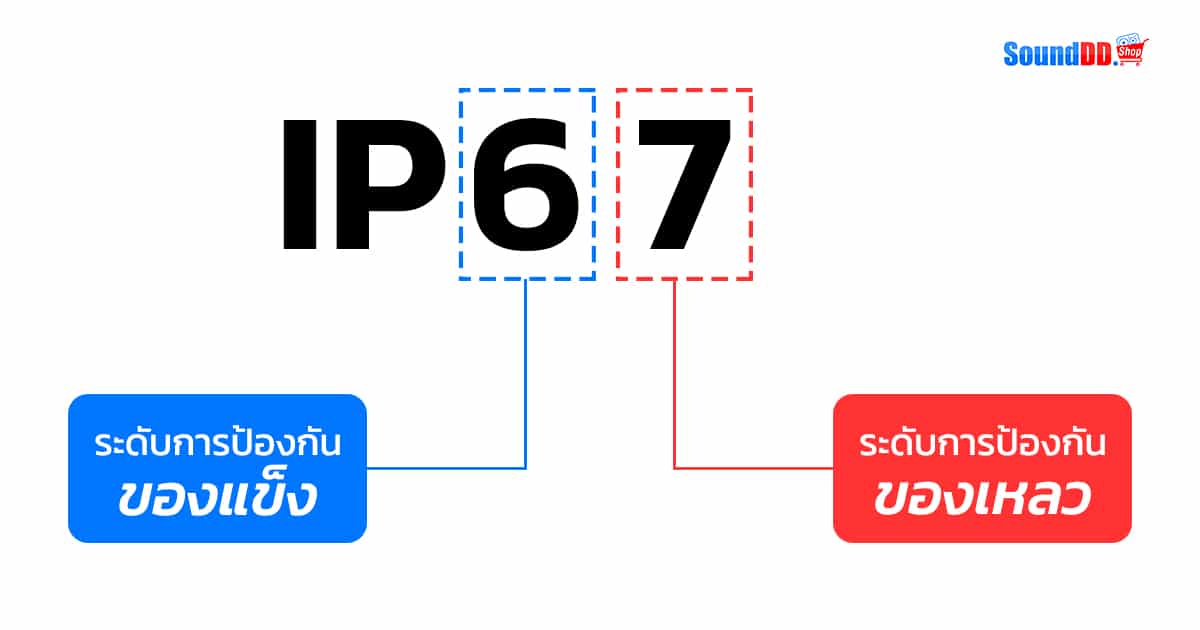 IP STANDARD 1