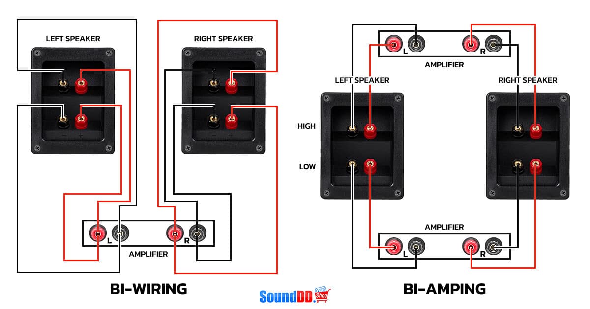 bi amp2