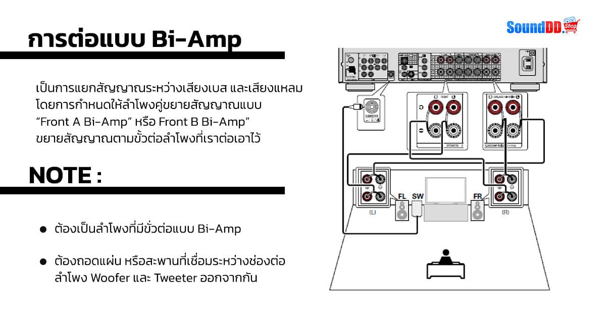 bi amp