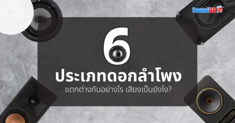 6 ประเภทดอกลำโพง