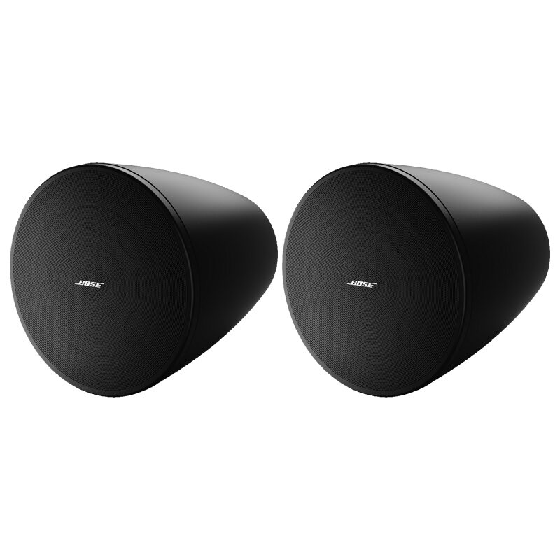 BOSE DesignMax DM6PE