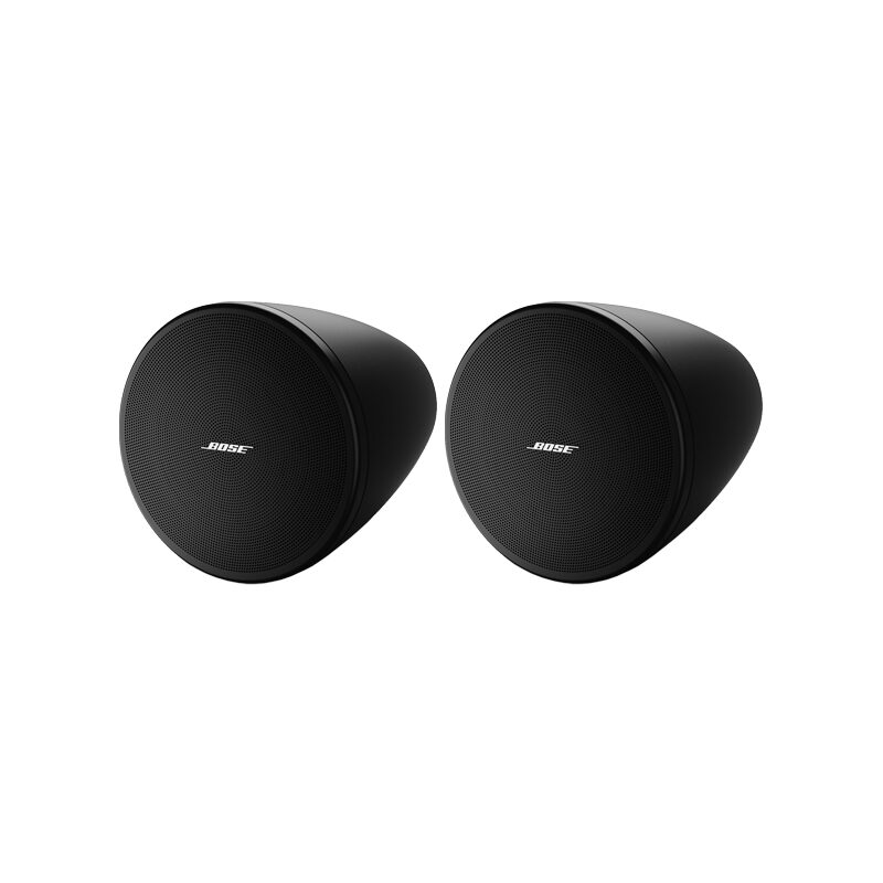 BOSE DesignMax DM3P
