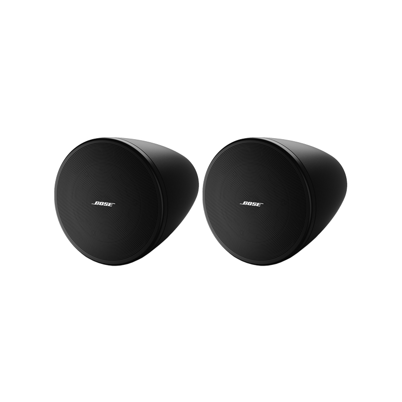 BOSE DesignMax DM3P