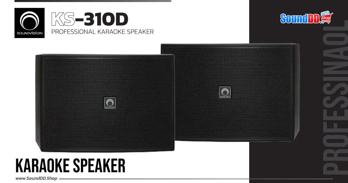 VS-KARAOKE-SPEAKER-4