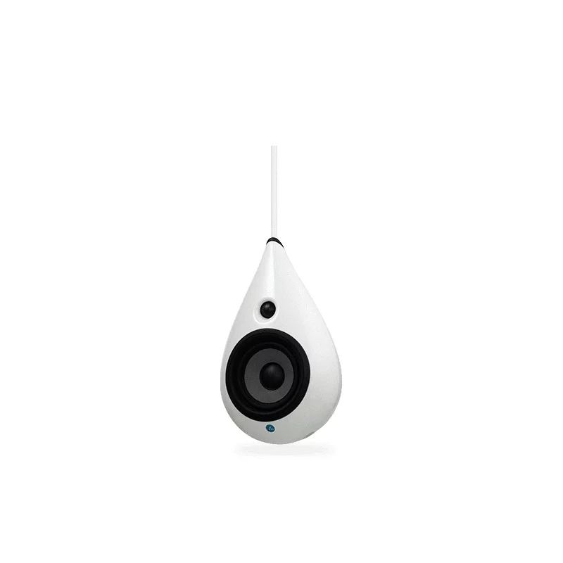 Ceiling Mount The Drop
