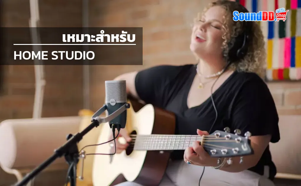 ARA COMPATIBLE HOME STUDIO