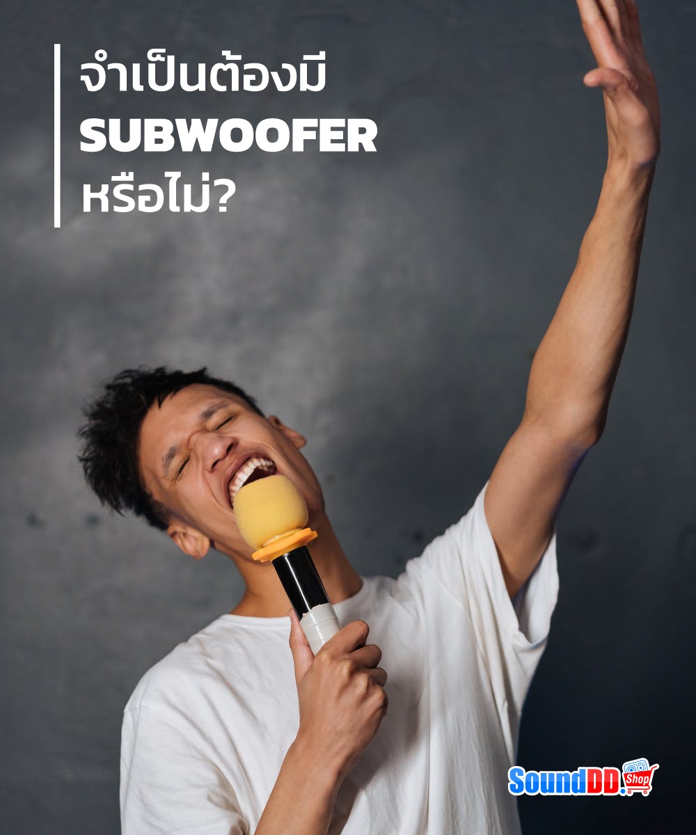 จำเป็นต้องมี SUBWOOFER
