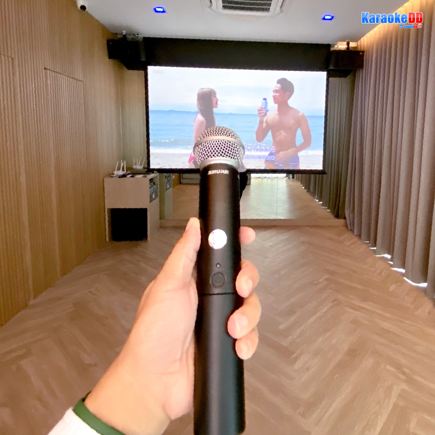 SHURE BLX288A/SM58