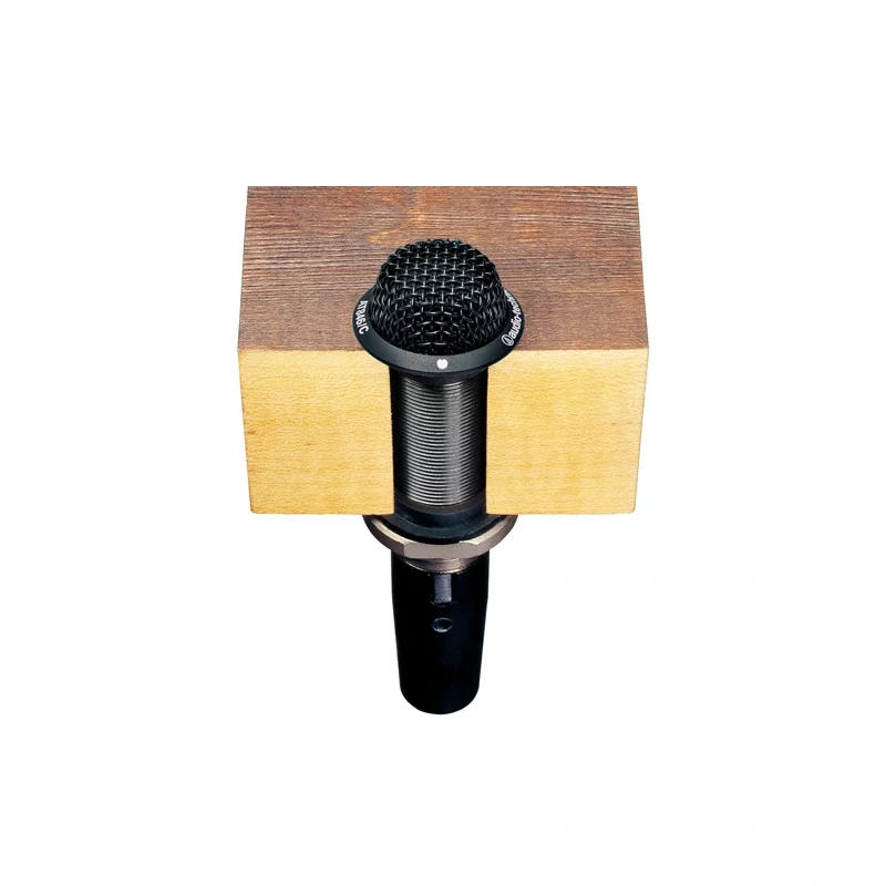 AUDIO-TECHNICA AT846/C