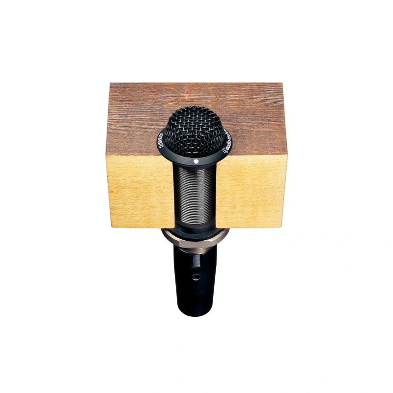 AUDIO-TECHNICA AT846/C