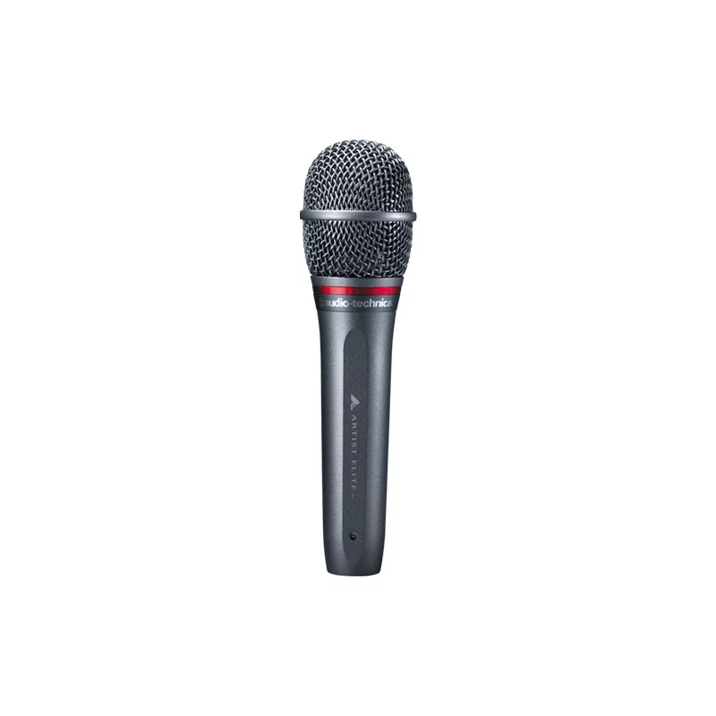 AUDIO TECHNICA AE6100