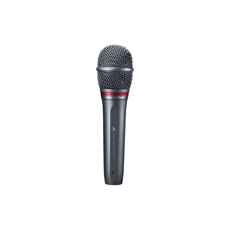 AUDIO TECHNICA AE6100