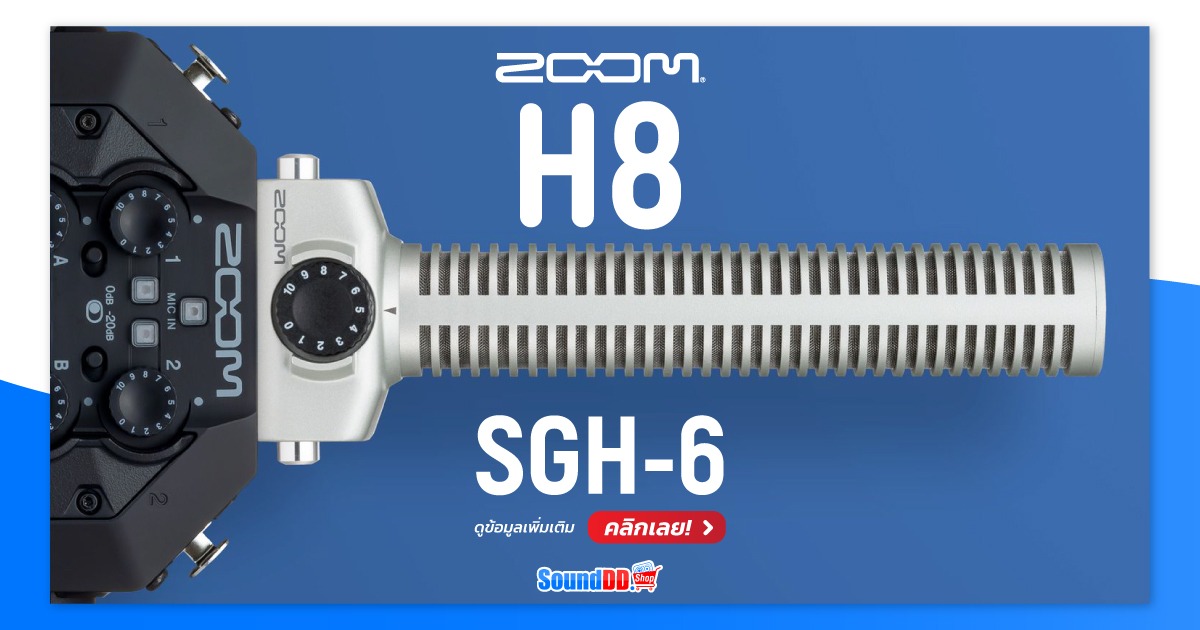 ZOOM SGH-6