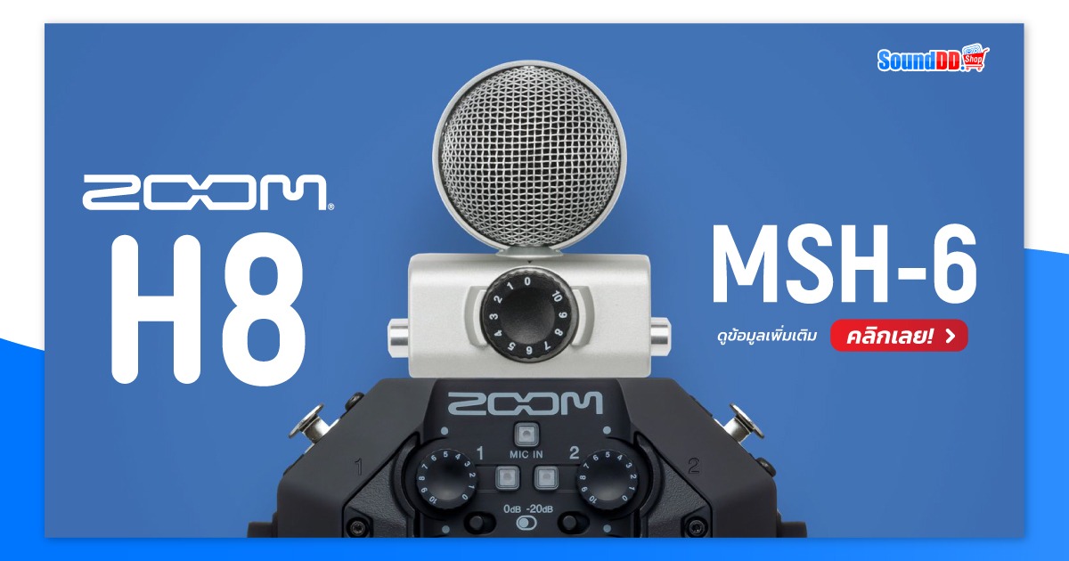 ZOOM MSH-6