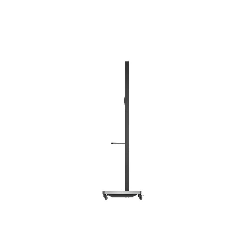 ST23