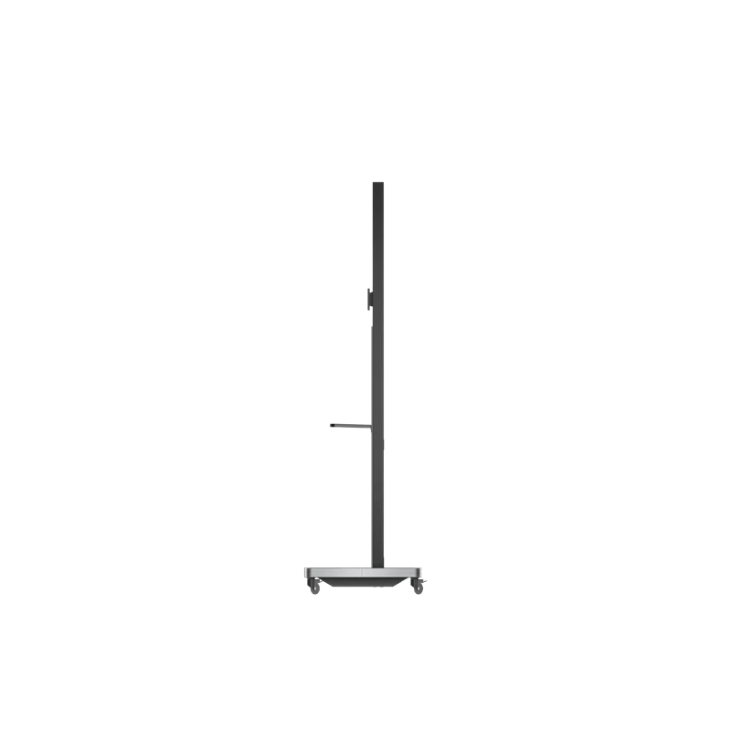 ST23
