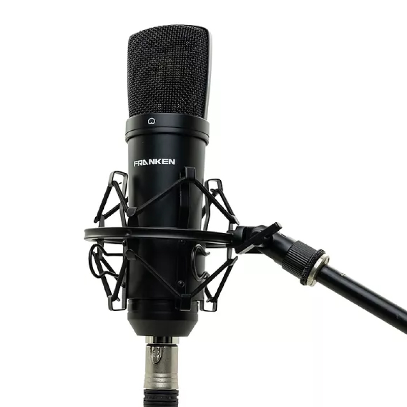 FRANKEN-SM-1