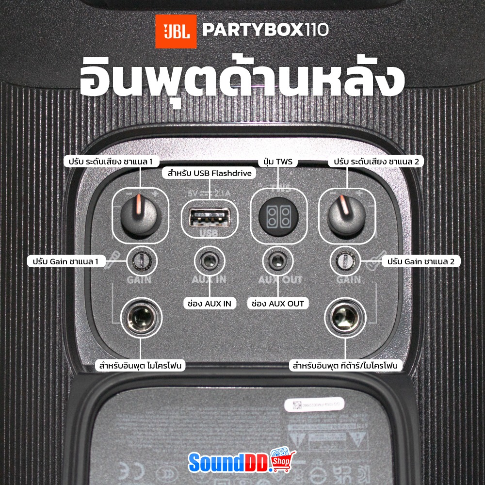 อินพุต PARTYBOX 110