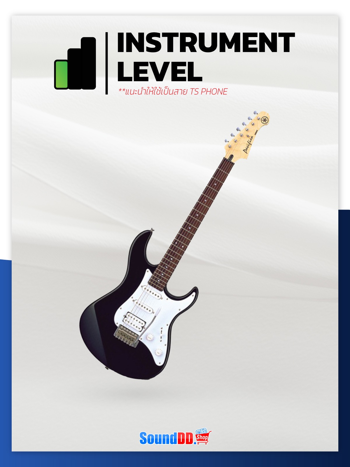INSTRUMENT LEVEL คือ