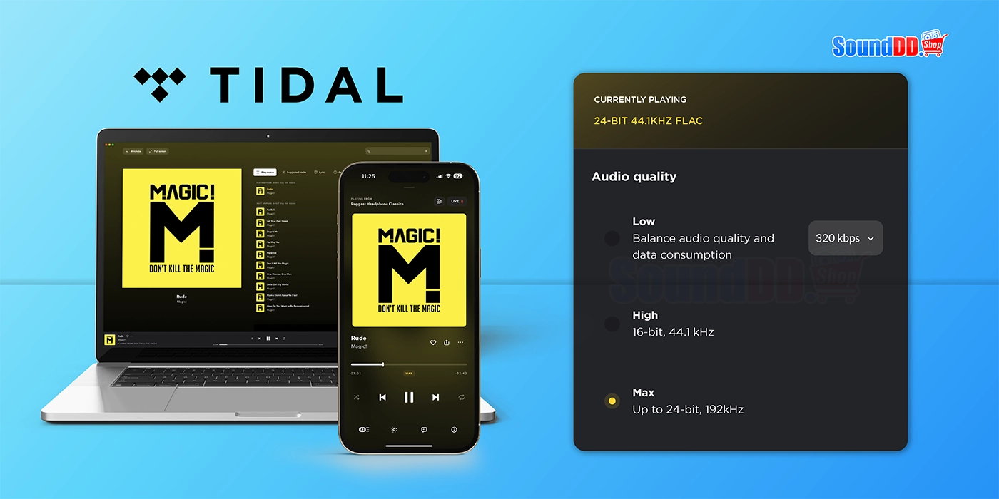 Tidal Music App