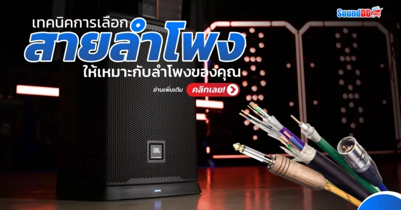 เทคนิคการเลือก สายลำโพง